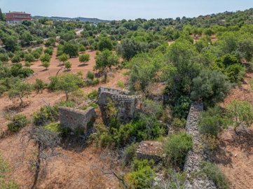 2419-353686-d4a7072701644bd18f6c9ffe77b802fa4