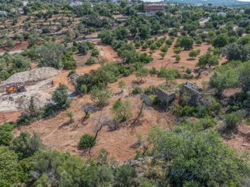 2419-353686-d4a7072701644bd18f6c9ffe77b802fa4