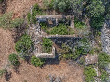 2419-353686-d4a7072701644bd18f6c9ffe77b802fa4