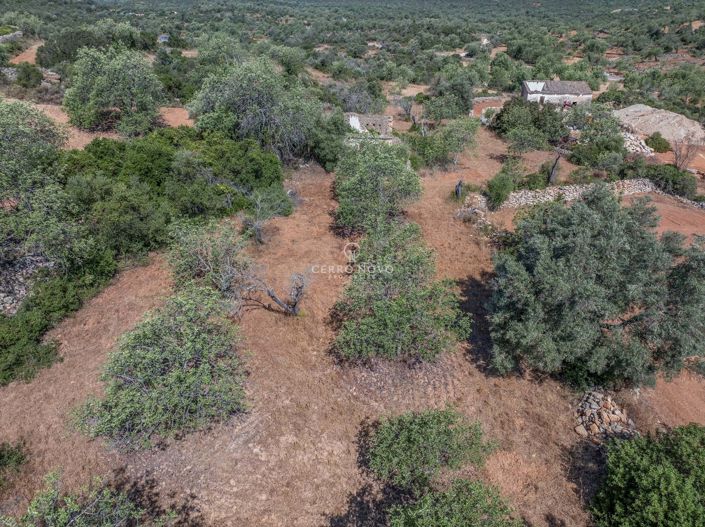 Image No.8-Propriété à vendre à Boliqueime