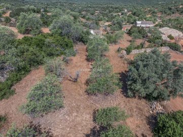 2419-353686-d4a7072701644bd18f6c9ffe77b802fa4