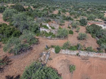 2419-353686-d4a7072701644bd18f6c9ffe77b802fa4