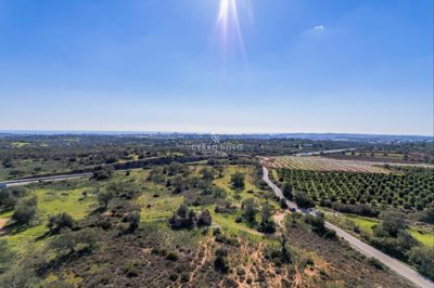 2419-353614-d4a7072701644bd18f6c9ffe77b802fa4