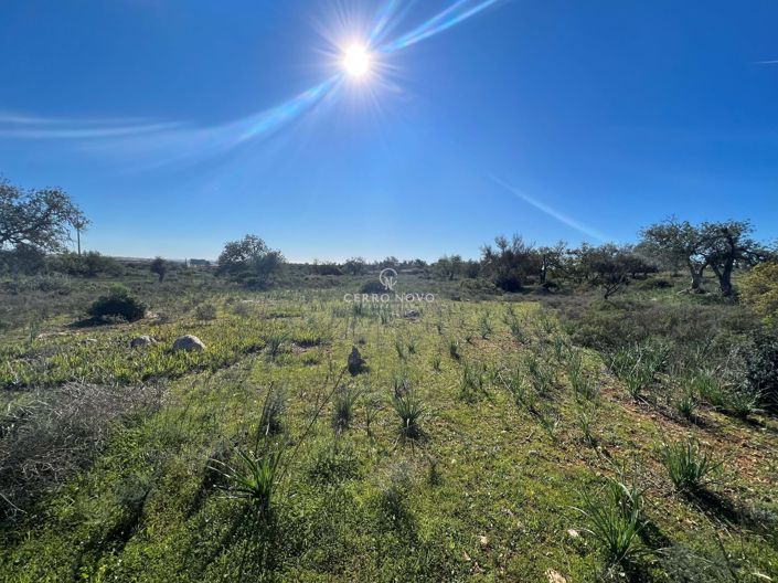 Image No.2-Terre à vendre à Paderne