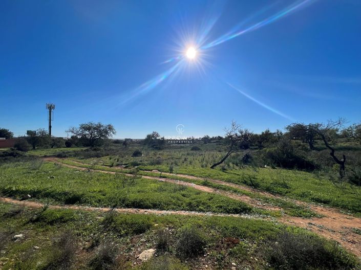 Image No.3-Terre à vendre à Paderne