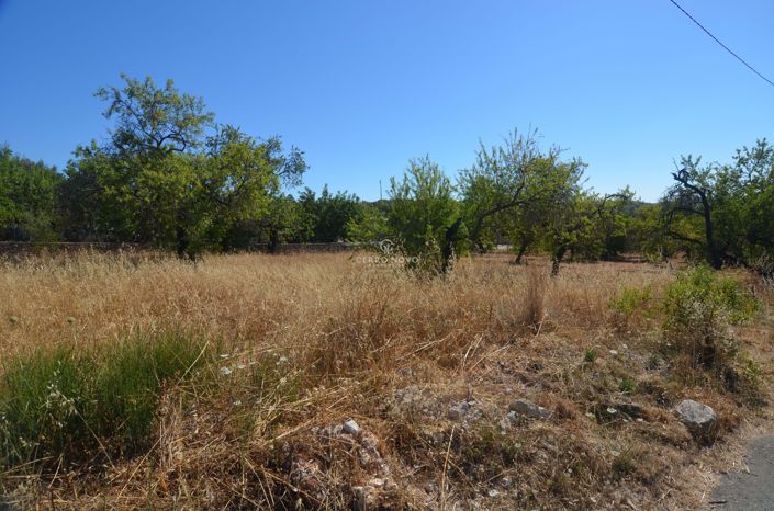 Image No.4-Terre à vendre à Paderne