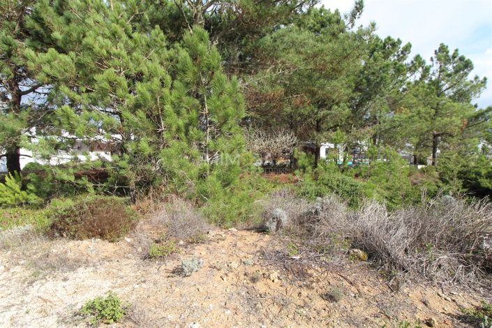 Image No.8-Propriété à vendre à Aljezur