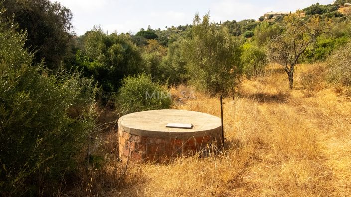 Image No.8-Ferme de 4 chambres à vendre à Lagos