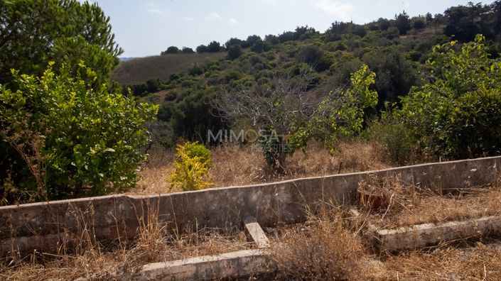 Image No.9-Ferme de 4 chambres à vendre à Lagos