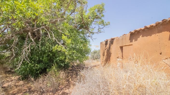 Image No.3-Property for sale