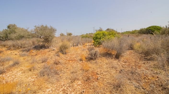 Image No.9-Property for sale