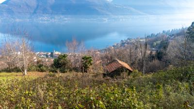 dji_fly_20230820_224246_0023_1694371992356_photo