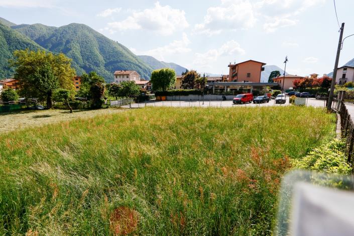 Image No.4-Terre à vendre à Porlezza