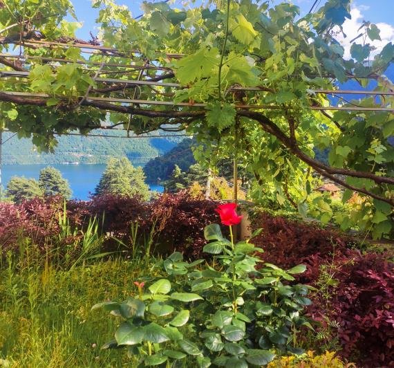 Image No.24-2 Bed Apartment for sale