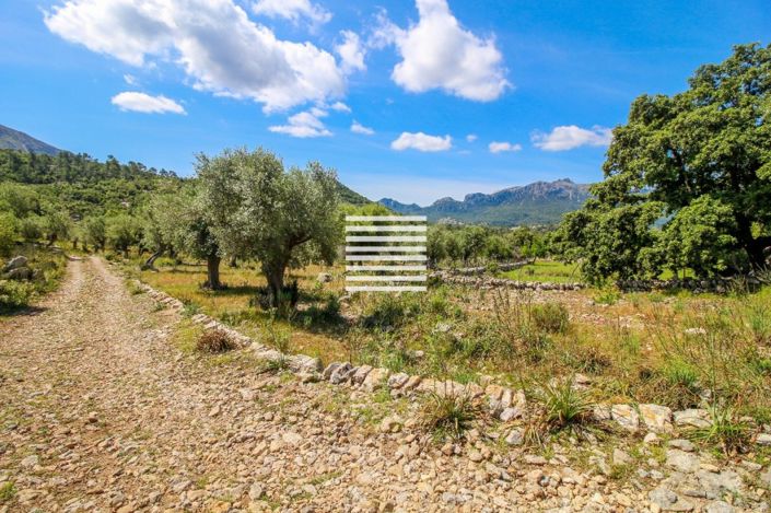 Image No.3-Propriété de 7 chambres à vendre à Escorca