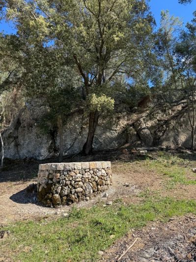 Image No.5-Plot for sale