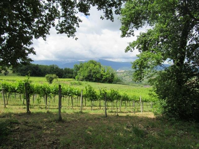 Image No.6-Maison de campagne de 2 chambres à vendre à Filetto