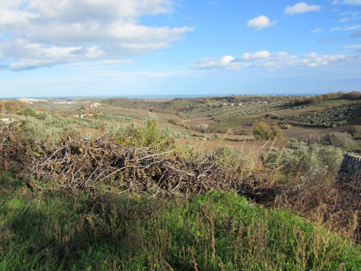 Image No.3-Maison de campagne de 4 chambres à vendre à Torino di Sangro
