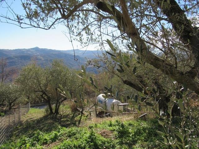 Image No.18-Maison de campagne de 3 chambres à vendre à Civitella Messer Raimondo