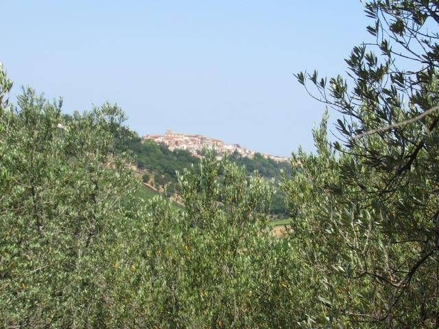 Image No.9-Terre à vendre à Torino di Sangro