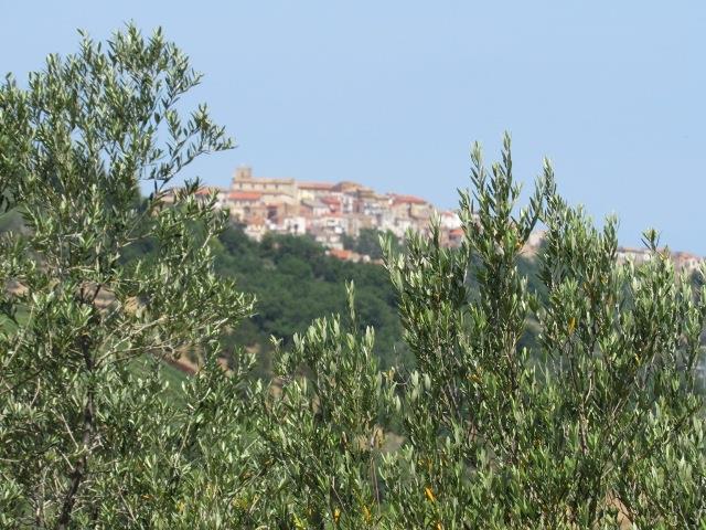 Image No.10-Terre à vendre à Torino di Sangro