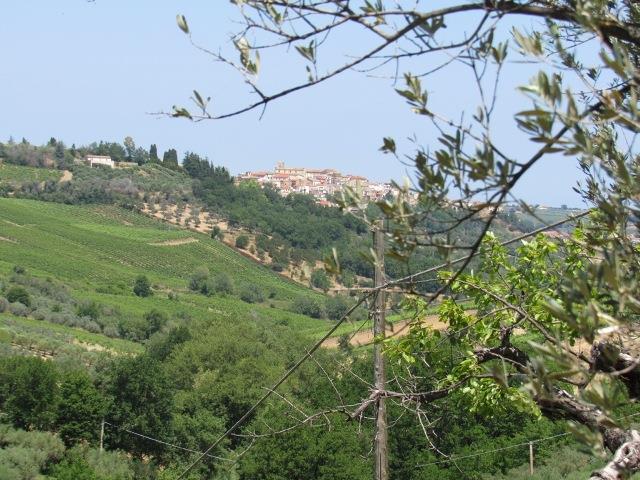 Image No.16-Terre à vendre à Torino di Sangro