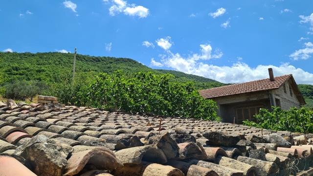 Image No.2-Maison de campagne de 3 chambres à vendre à Archi