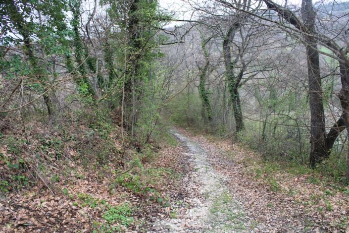 Image No.21-Ferme de 10 chambres à vendre à Palombaro