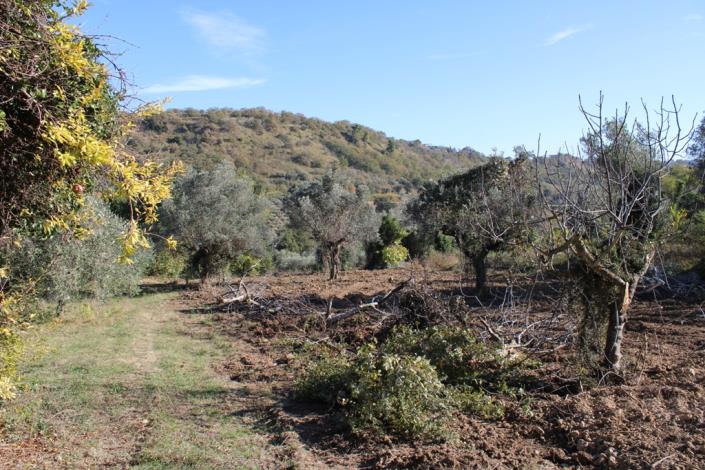 Image No.3-Propriété de pays de 3 chambres à vendre à Torino di Sangro