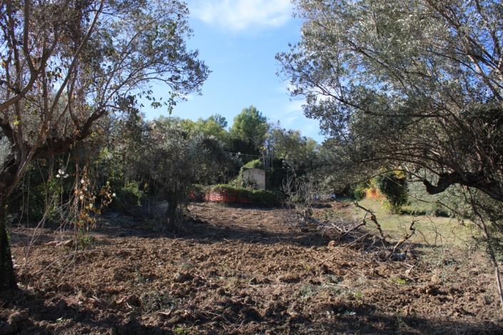 Image No.6-Propriété de pays de 3 chambres à vendre à Torino di Sangro