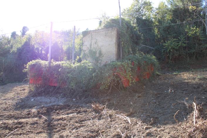 Image No.11-Propriété de pays de 3 chambres à vendre à Torino di Sangro