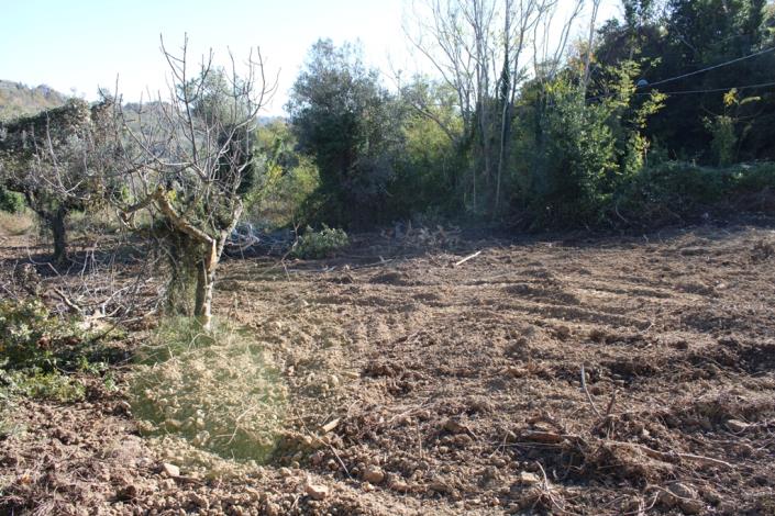 Image No.12-Propriété de pays de 3 chambres à vendre à Torino di Sangro