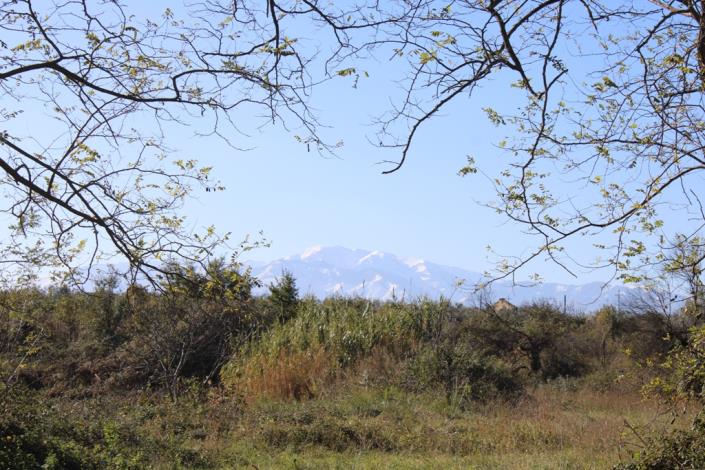 Image No.4-Maison de campagne de 3 chambres à vendre à Rocca San Giovanni