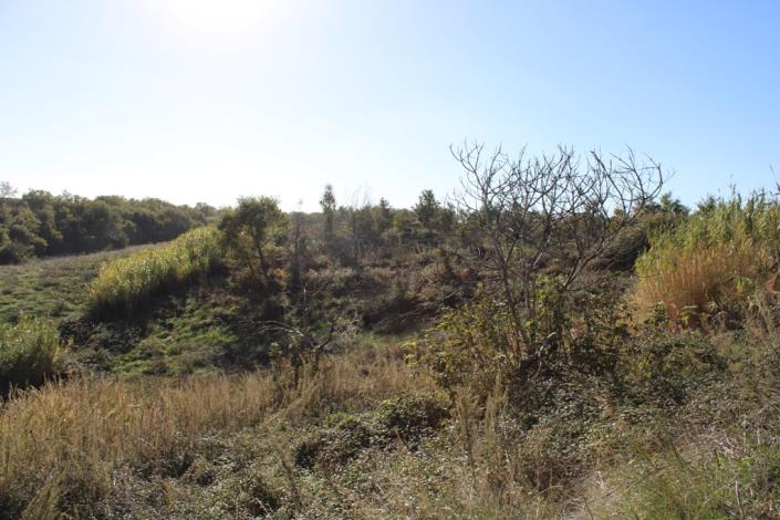 Image No.36-Maison de campagne de 3 chambres à vendre à Rocca San Giovanni
