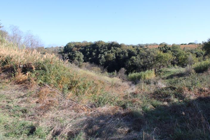 Image No.38-Maison de campagne de 3 chambres à vendre à Rocca San Giovanni