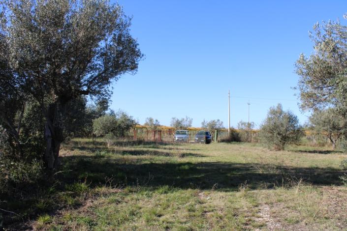 Image No.46-Maison de campagne de 3 chambres à vendre à Rocca San Giovanni