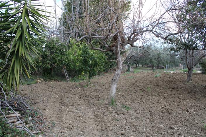 Image No.7-Maison de 2 chambres à vendre à Scerni