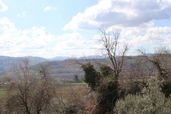 Image No.10-Maison de 2 chambres à vendre à Scerni