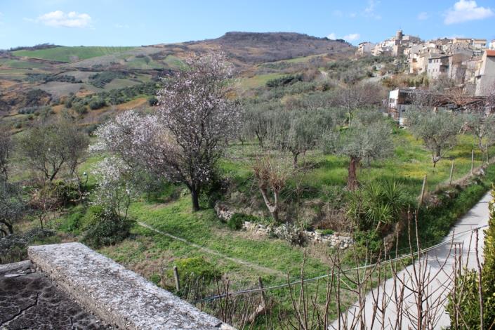 Image No.2-Maison de 3 chambres à vendre à Casalanguida
