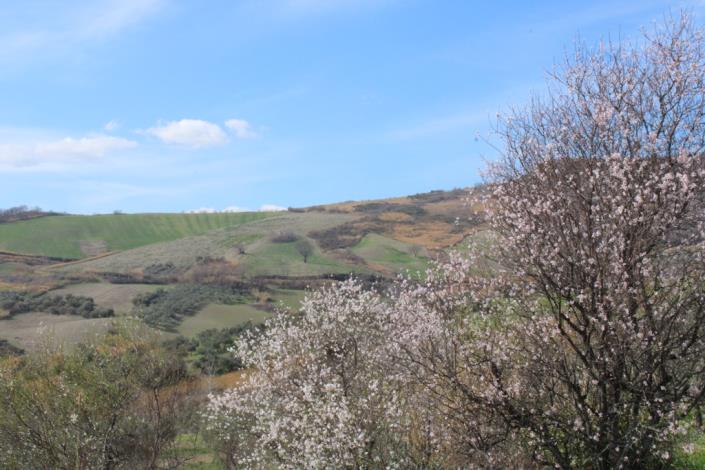 Image No.6-Maison de 3 chambres à vendre à Casalanguida