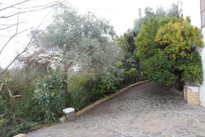 Image No.2-Maison de 3 chambres à vendre à Crecchio