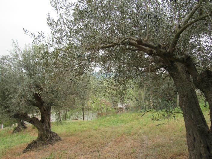 Image No.3-Maison de campagne de 3 chambres à vendre à Casoli