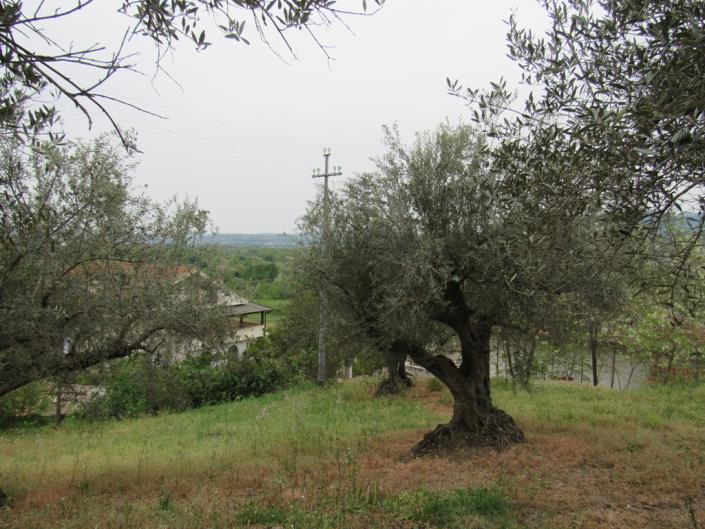 Image No.19-Maison de campagne de 3 chambres à vendre à Casoli