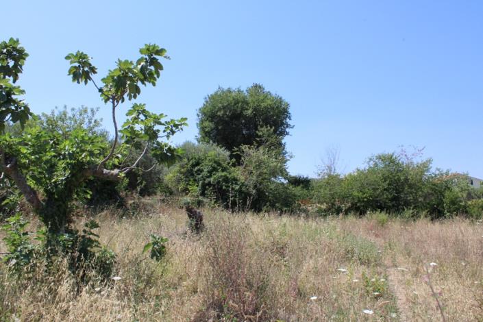 Image No.6-Land for sale