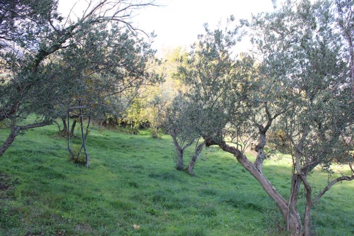 Image No.8-2 Bed Plot for sale