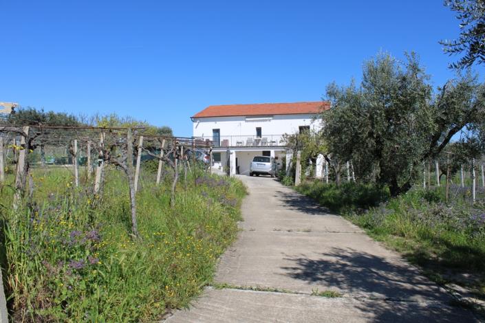 Image No.8-4 Bed Villa / Detached for sale