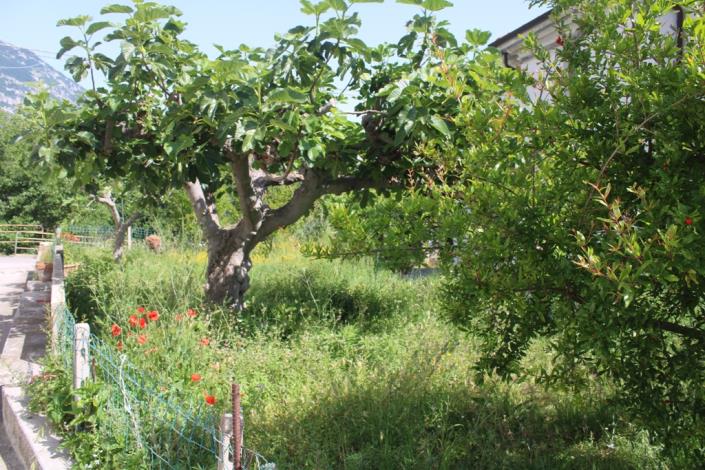 Image No.4-Maison / Villa de 5 chambres à vendre à Civitella Messer Raimondo