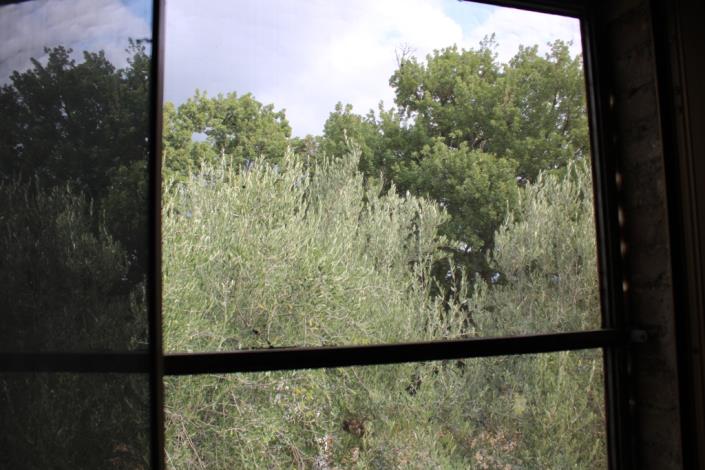 Image No.17-Maison de campagne de 1 chambre à vendre à Roccascalegna