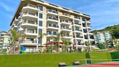 Monarch-Premium-courts