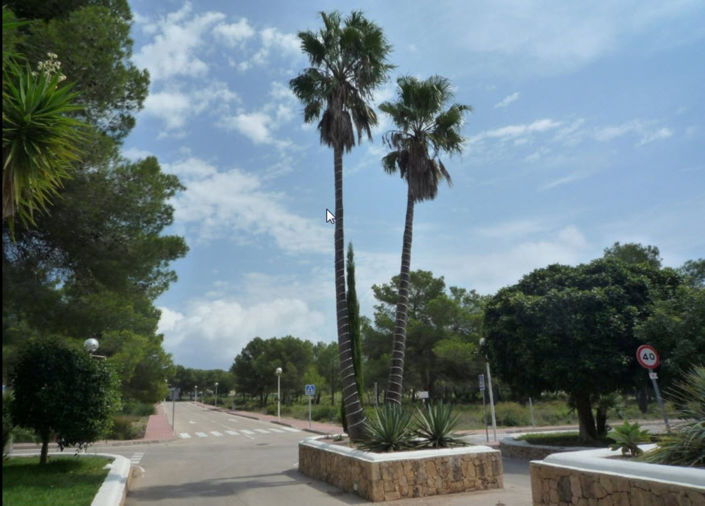 Image No.5-Plot for sale